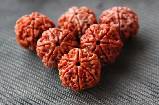 6瓣金刚菩提400块贵吗