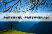 少女翡翠原石图片（少女翡翠原石图片大全）