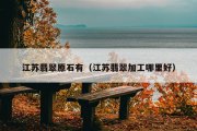 江苏翡翠原石有（江苏翡翠加工哪里好）