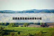 挖紫色翡翠原石的简单介绍