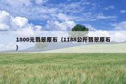 1800元翡翠原石（1188公斤翡翠原石）