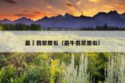最?翡翠原石（最牛翡翠原石）