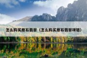 怎么购买原石翡翠（怎么购买原石翡翠项链）