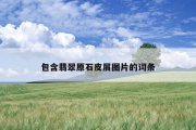 包含翡翠原石皮屑图片的词条