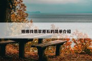 娜娜找翡翠原石的简单介绍