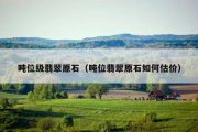 吨位级翡翠原石（吨位翡翠原石如何估价）