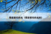 翡翠原石的毛（翡翠原石的毛料）