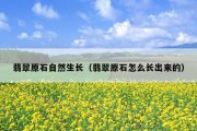 翡翠原石自然生长（翡翠原石怎么长出来的）