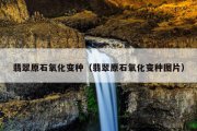 翡翠原石氧化变种（翡翠原石氧化变种图片）