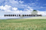 吉林翡翠原石上涨（吉林有翡翠加工的吗）