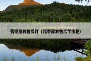 翡翠原石苦瓜钉（翡翠原石苦瓜丁松花）