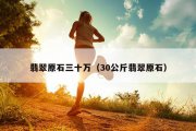 翡翠原石三十万（30公斤翡翠原石）