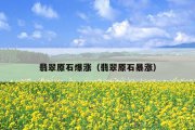 翡翠原石爆涨（翡翠原石暴涨）