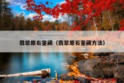 翡翠原石鉴藏（翡翠原石鉴藏方法）