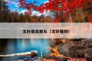 文轩翡翠原石（文轩雕刻）