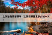 上海鉴别翡翠原石（上海翡翠鉴定多少钱一次）