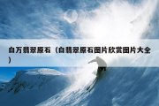 白万翡翠原石（白翡翠原石图片欣赏图片大全）