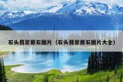 石头翡翠原石图片（石头翡翠原石图片大全）