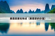 黑翡翠原石特点（黑翡翠的价值）