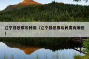 辽宁翡翠原石种类（辽宁翡翠原石种类有哪些）
