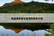 极品翡翠原石鉴赏的简单介绍