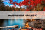 庐山翡翠原石视频（庐山玉原石）