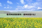 老式树皮翡翠原石（老树皮是什么）