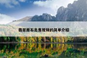 翡翠原石出售视频的简单介绍