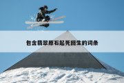 包含翡翠原石起死回生的词条