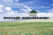翡翠原石和绿带（翡翠原石绿色等级和图片）