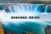 翡翠原石黑雪花（翡翠 雪花）
