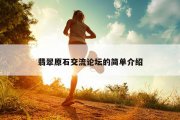 翡翠原石交流论坛的简单介绍
