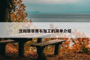 沈阳翡翠原石加工的简单介绍