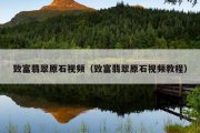 致富翡翠原石视频（致富翡翠原石视频教程）