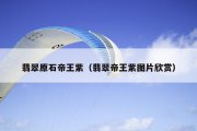 翡翠原石帝王紫（翡翠帝王紫图片欣赏）