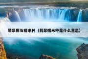 翡翠原石糯米种（翡翠糯米种是什么意思）