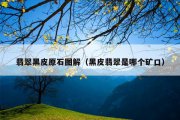翡翠黑皮原石图解（黑皮翡翠是哪个矿口）
