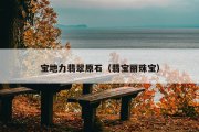 宝地力翡翠原石（翡宝丽珠宝）