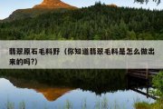 翡翠原石毛料野（你知道翡翠毛料是怎么做出来的吗?）