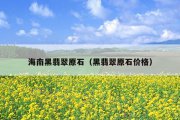 海南黑翡翠原石（黑翡翠原石价格）