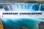云南翡翠原石品种（云南翡翠原石品种有哪些）