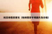 阳豆绿翡翠原石（阳绿翡翠手镯图片及价格）