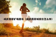 成武翡翠矿场原石（成武翡翠城房价怎么样）