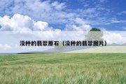 没种的翡翠原石（没种的翡翠图片）
