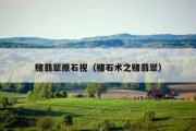 赌翡翠原石视（赌石术之赌翡翠）