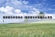 翡翠原石共生特点（翡翠原石共生是什么意思）