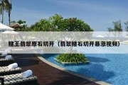 赌王翡翠原石切开（翡翠赌石切开暴涨视频）