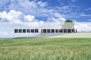 翡翠原石胡裂（翡翠原石胡裂图片）