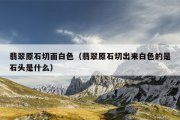 翡翠原石切面白色（翡翠原石切出来白色的是石头是什么）