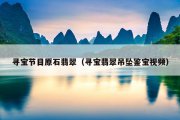 寻宝节目原石翡翠（寻宝翡翠吊坠鉴宝视频）